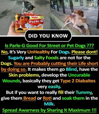 Is Parle-G Good for Street Dogs - Did You Know-classiblogger