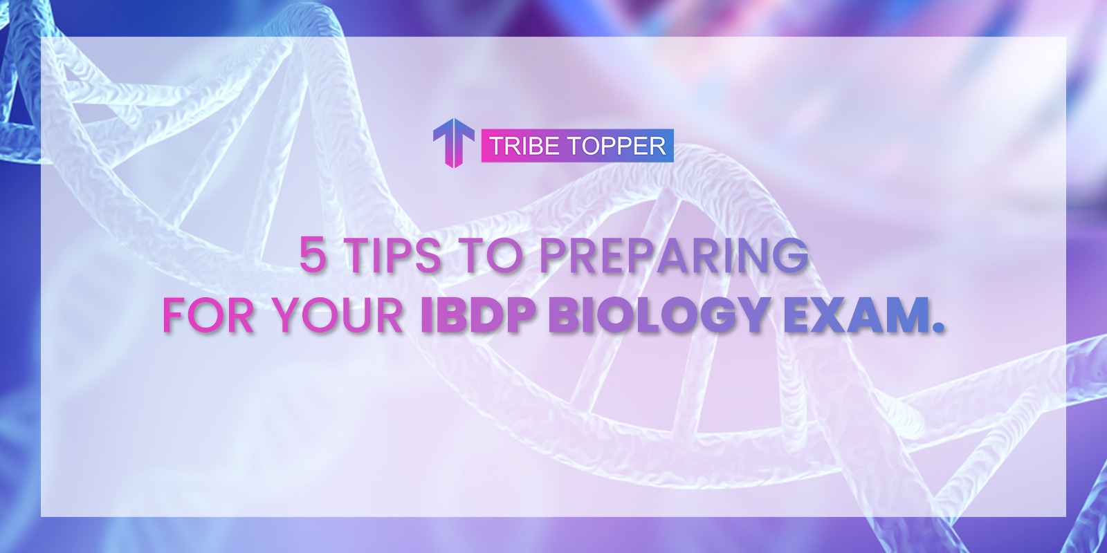 5 Tips for Preparing for your IBDP Biology Exam