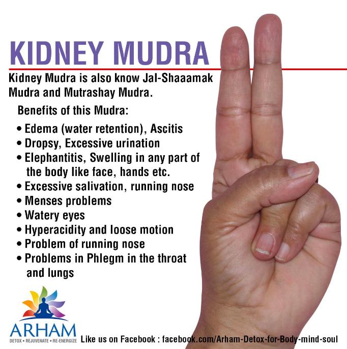 Kidney Mudra-classiblogger web directory for mudras-List of Mudras for Good Health
