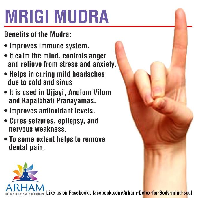 Mrigi Mudra-classiblogger web directory for mudras-List of Mudras for Good Health