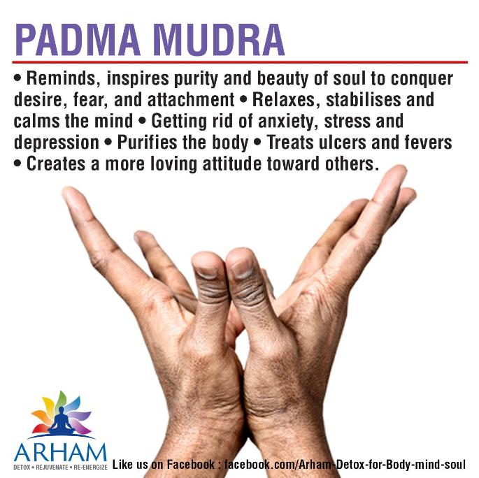 Padma Mudra-classiblogger web directory for mudras-List of Mudras for Good Health