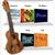 ukulele lessons for beginners-ukulele buddy-arts-classiblogger web directory